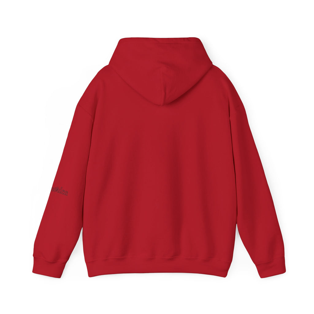 Tiger Graphic Hoodie — Urban Neon Grunge Pullover