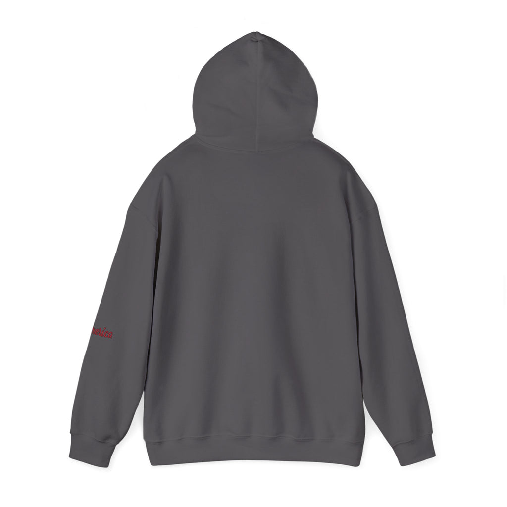 Tiger Graphic Hoodie — Urban Neon Grunge Pullover