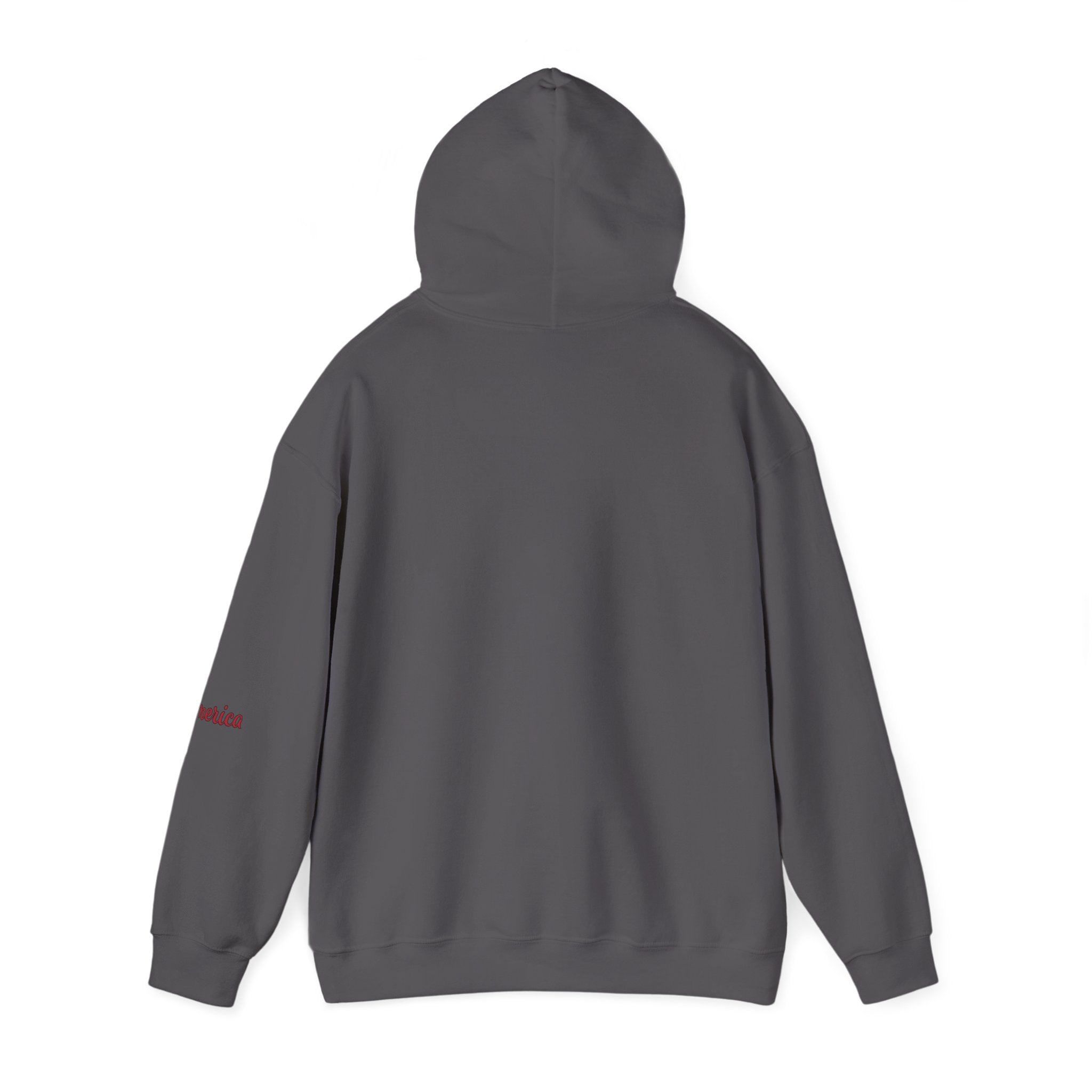 Tiger Graphic Hoodie — Urban Neon Grunge Pullover