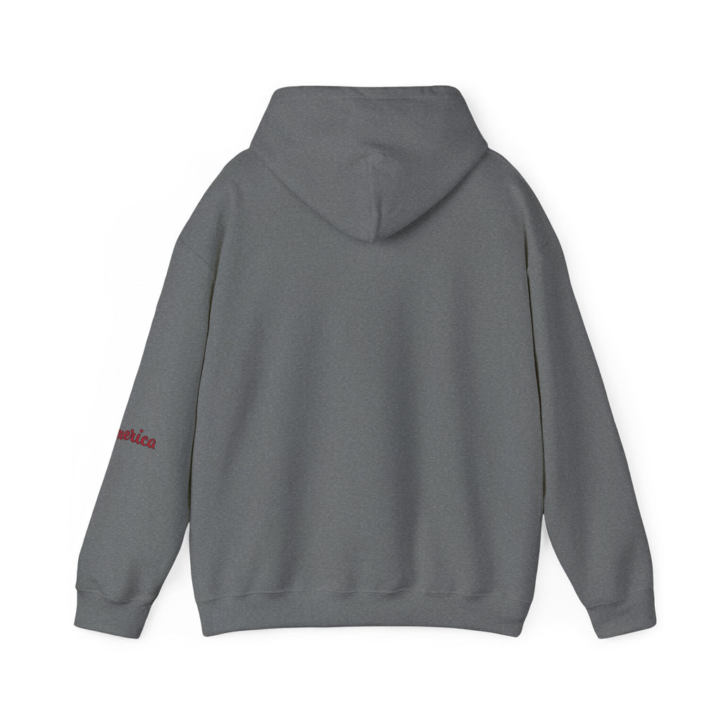 Tiger Graphic Hoodie — Urban Neon Grunge Pullover
