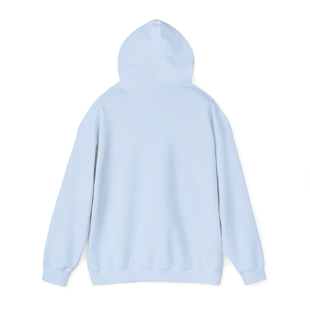 Paisley Pattern Hoodie — Colorful Boho Graphic Pullover