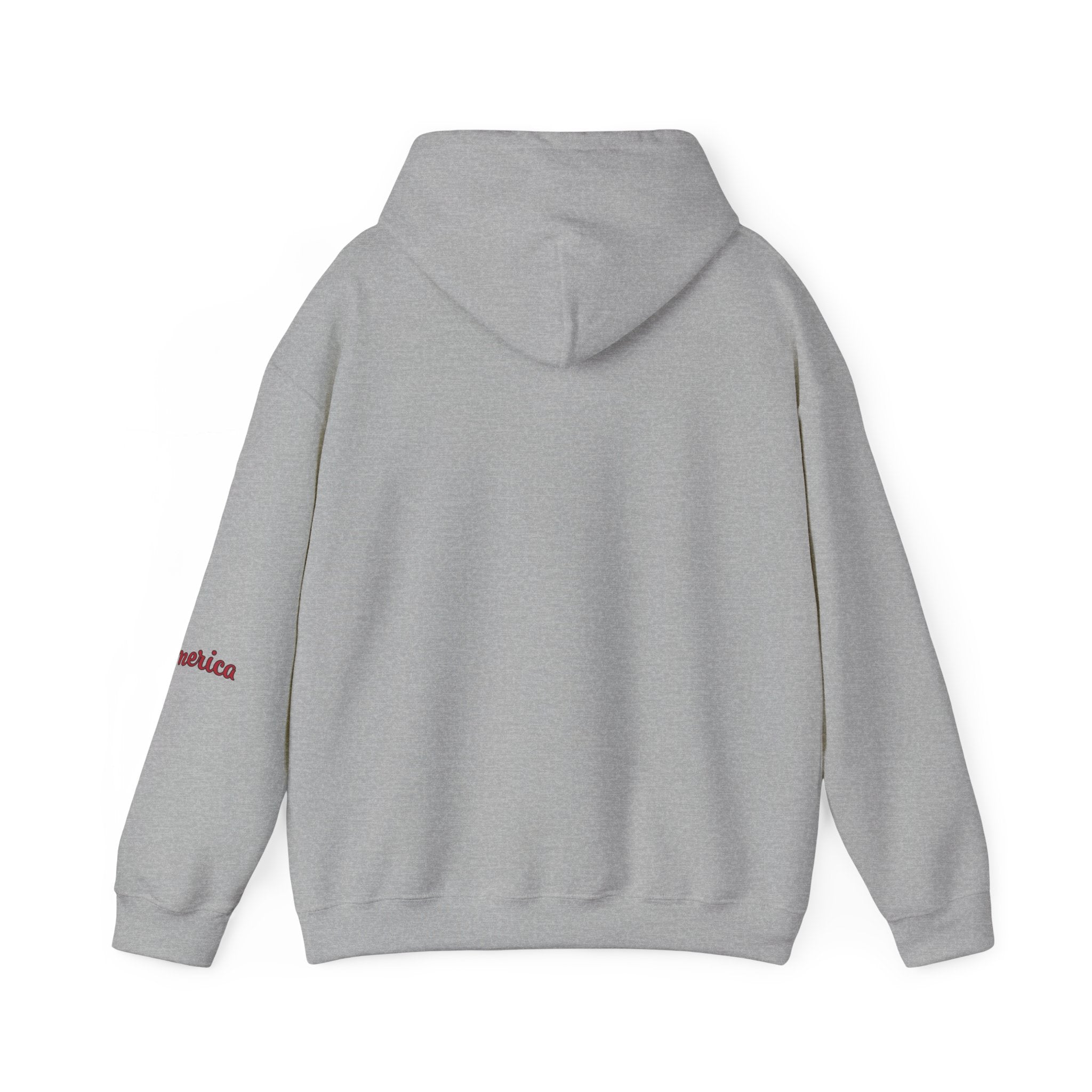 Tiger Graphic Hoodie — Urban Neon Grunge Pullover