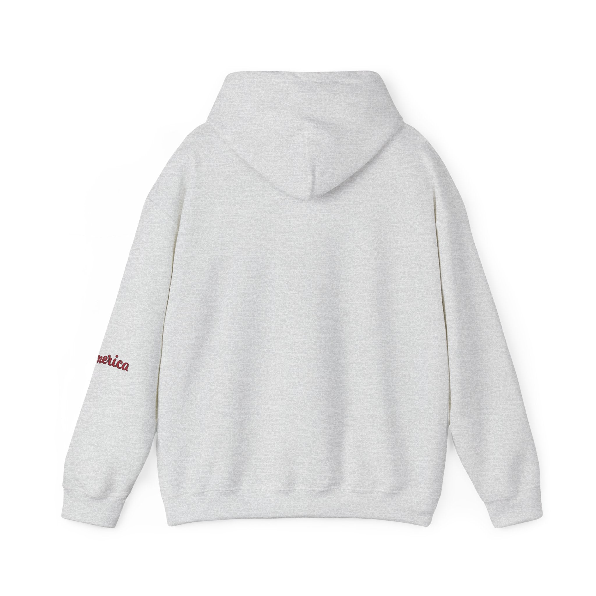 Tiger Graphic Hoodie — Urban Neon Grunge Pullover