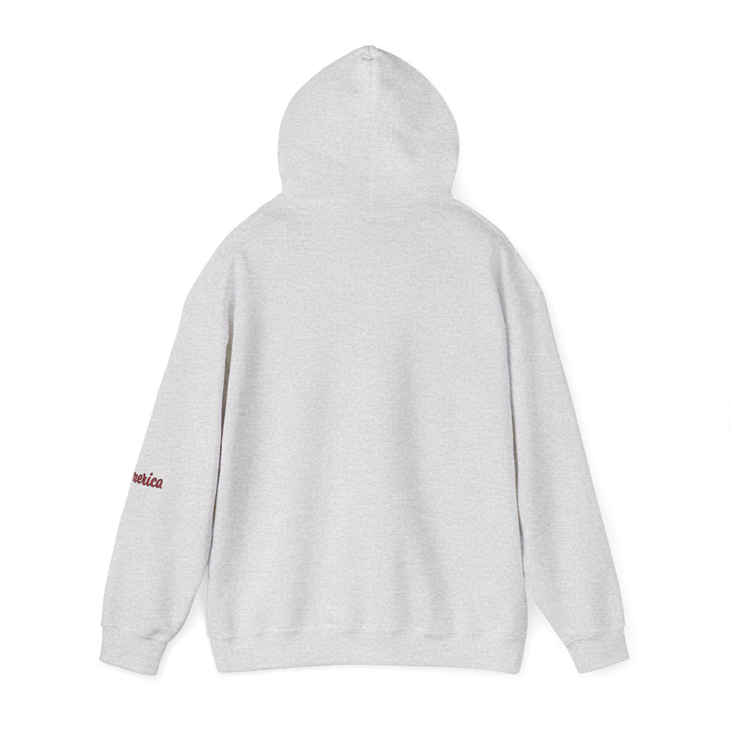 Tiger Graphic Hoodie — Urban Neon Grunge Pullover