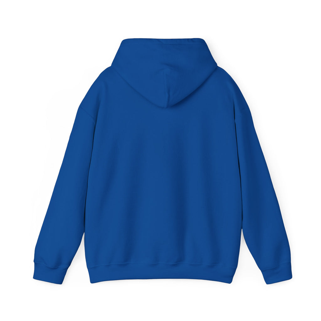 Paisley Pattern Hoodie — Colorful Boho Graphic Pullover