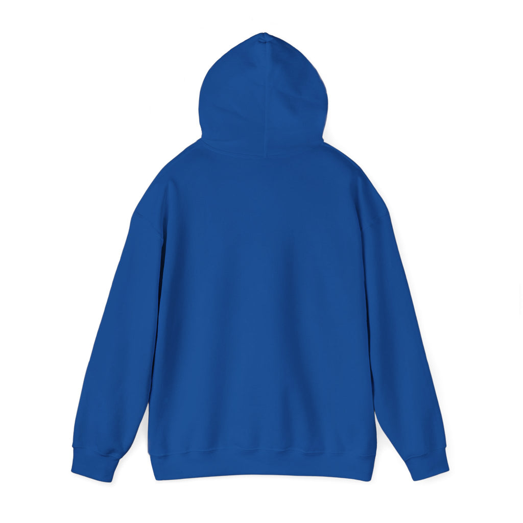 Paisley Pattern Hoodie — Colorful Boho Graphic Pullover