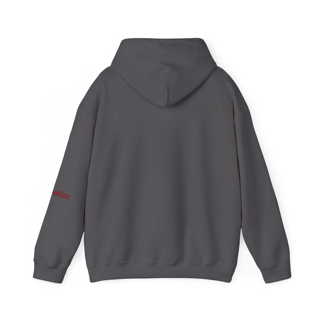 Tiger Graphic Hoodie — Urban Neon Grunge Pullover