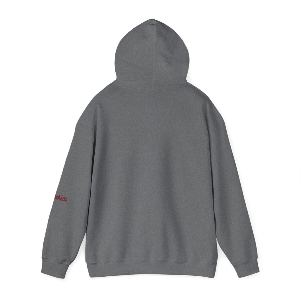 Tiger Graphic Hoodie — Urban Neon Grunge Pullover