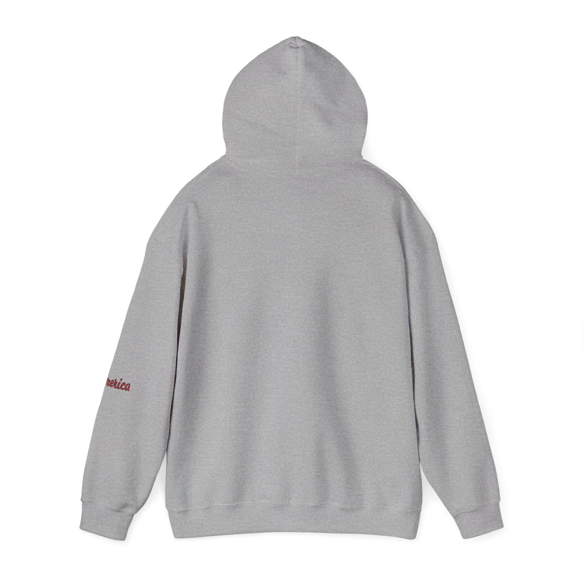 Tiger Graphic Hoodie — Urban Neon Grunge Pullover