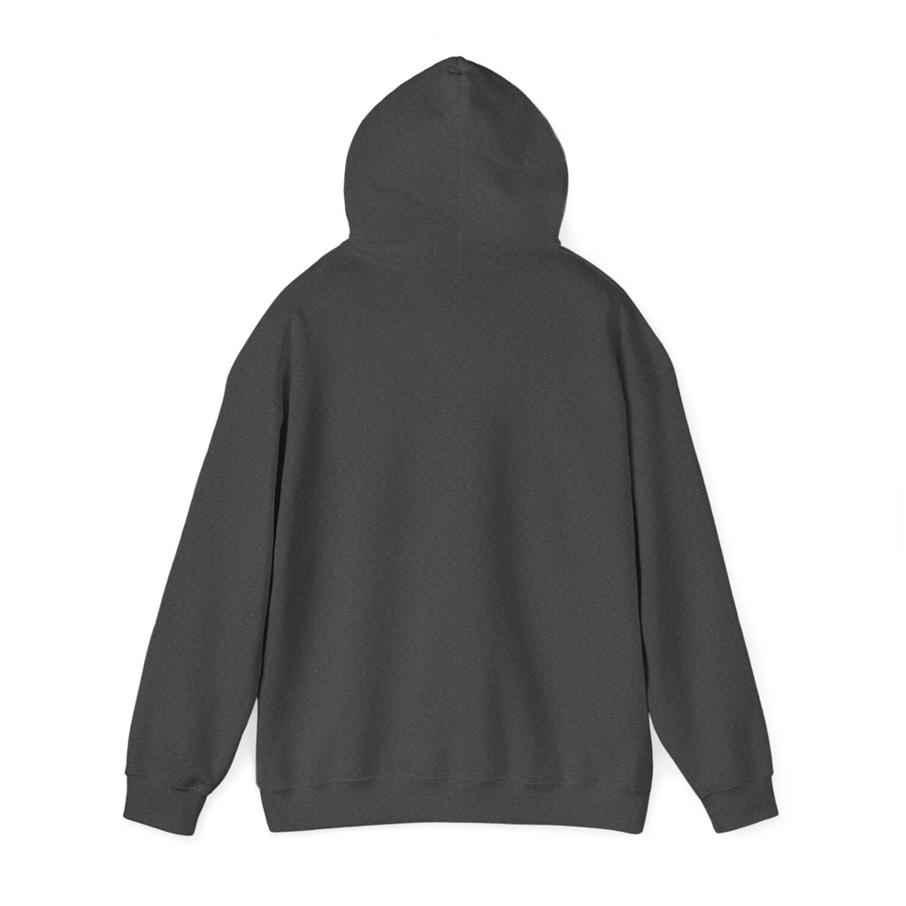 Paisley Pattern Hoodie — Colorful Boho Graphic Pullover
