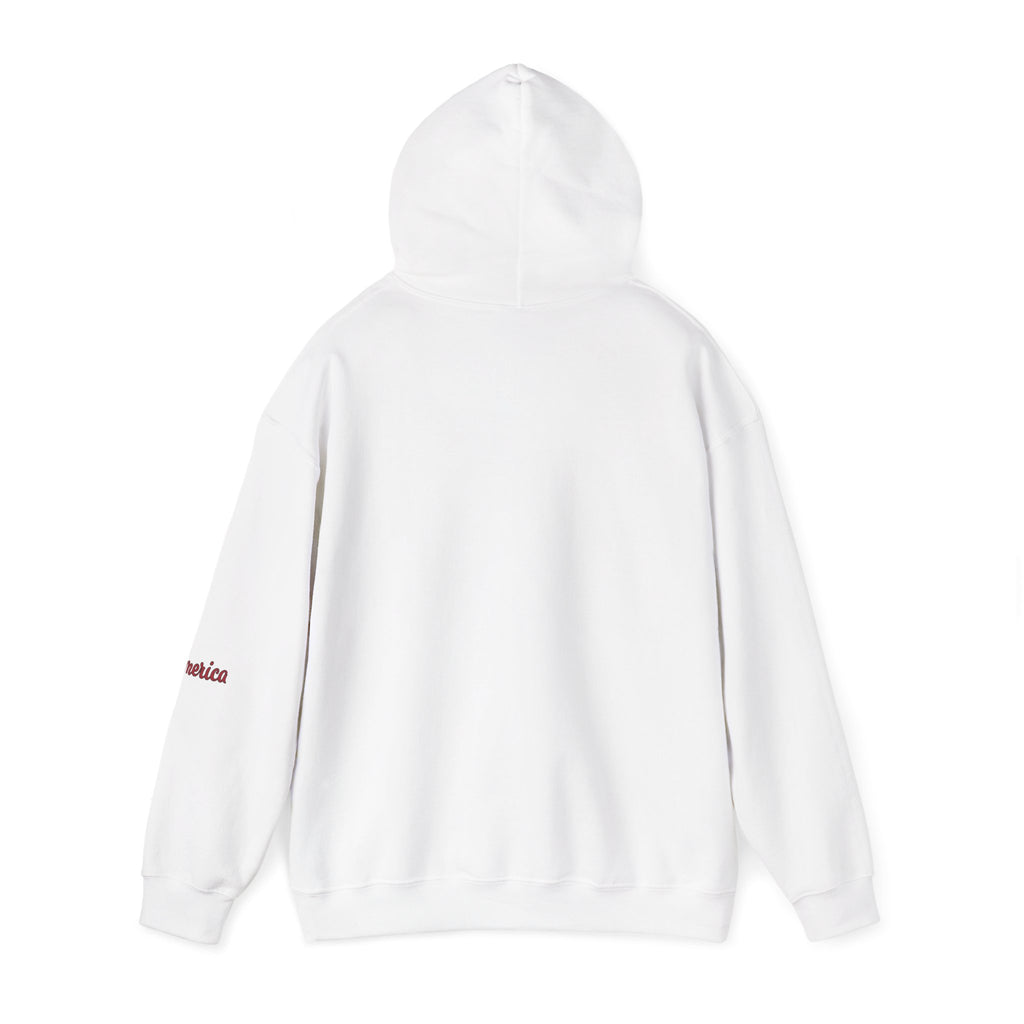 Tiger Graphic Hoodie — Urban Neon Grunge Pullover
