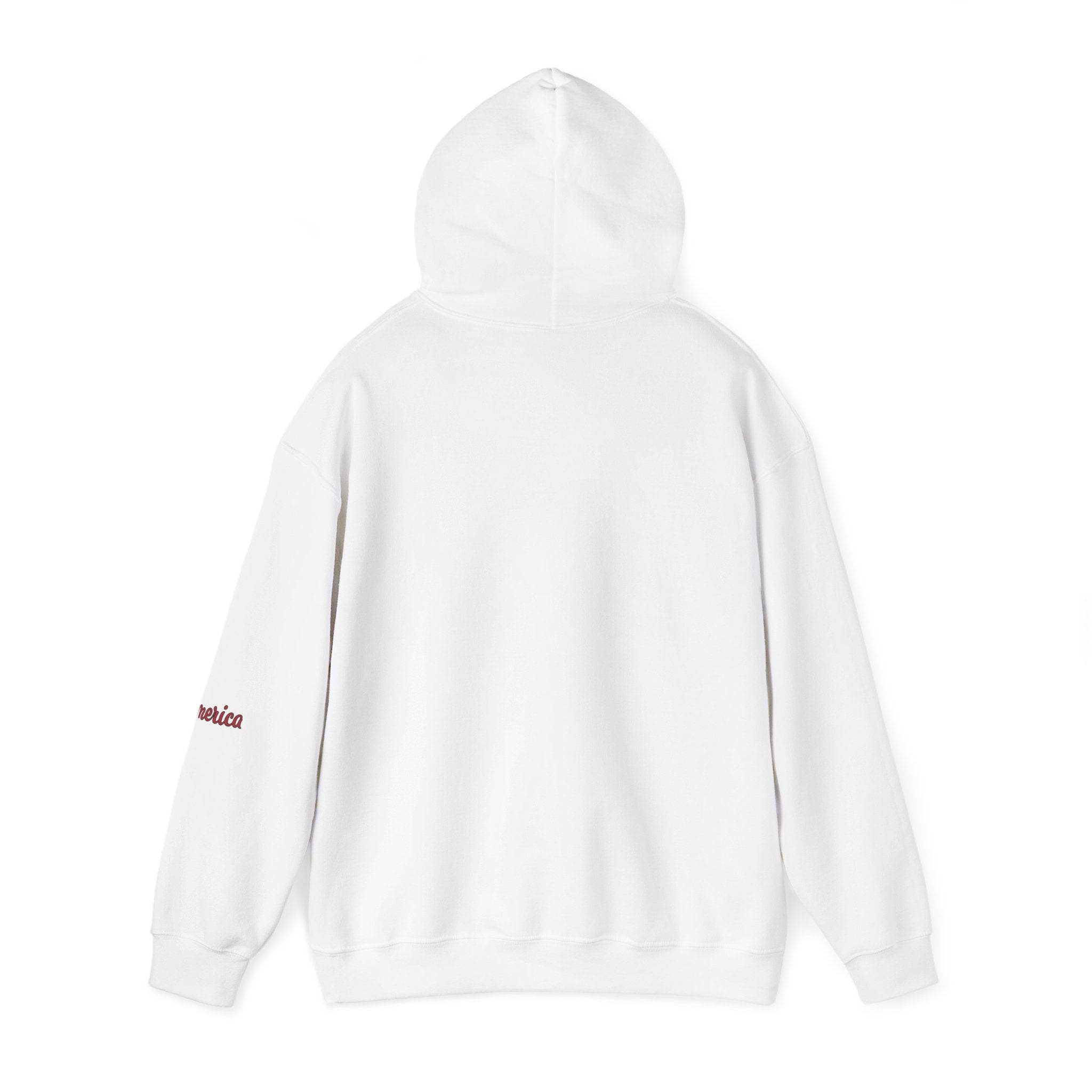 Tiger Graphic Hoodie — Urban Neon Grunge Pullover