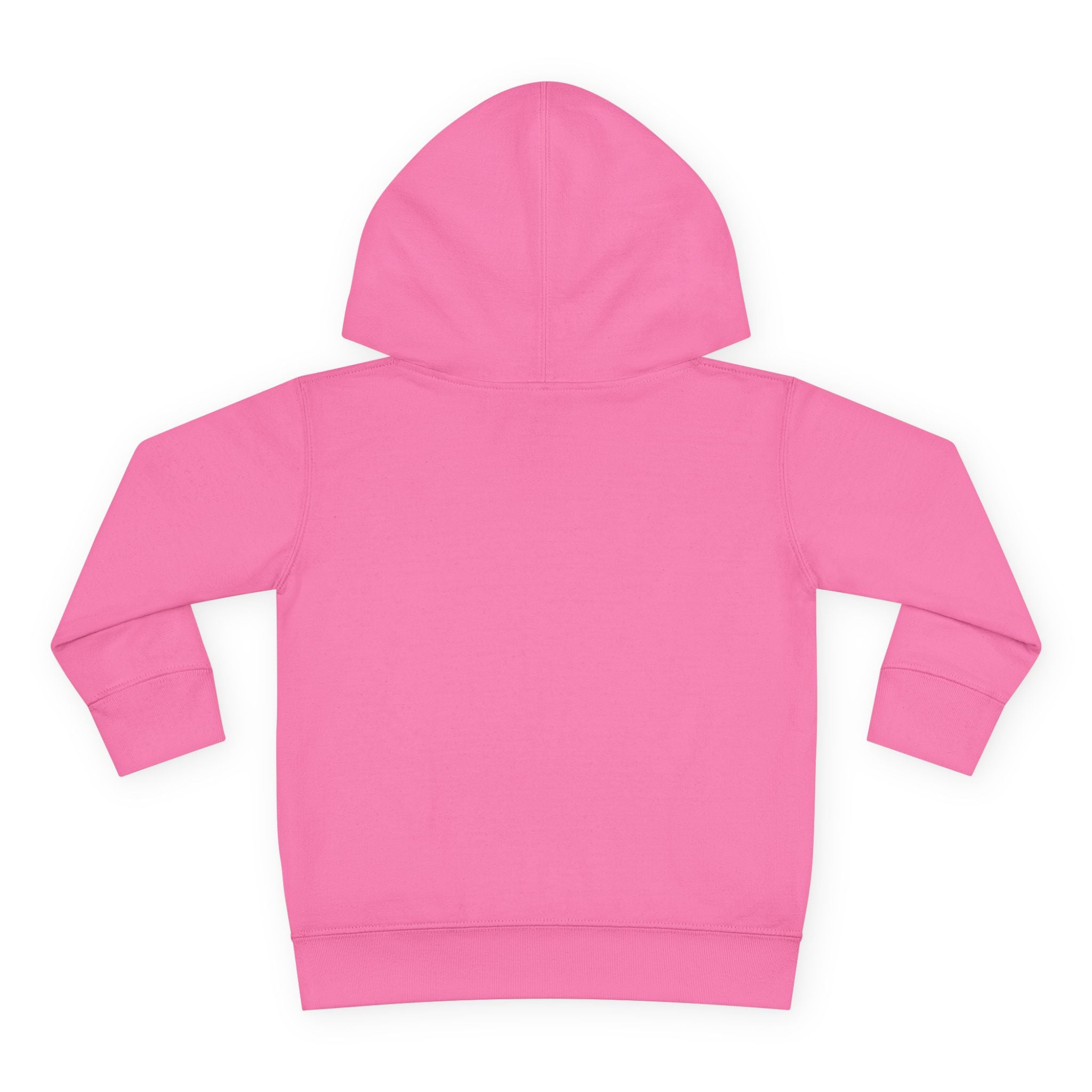 Toddler Hoodie — Colorful Cartoon Animal Collage Pullover