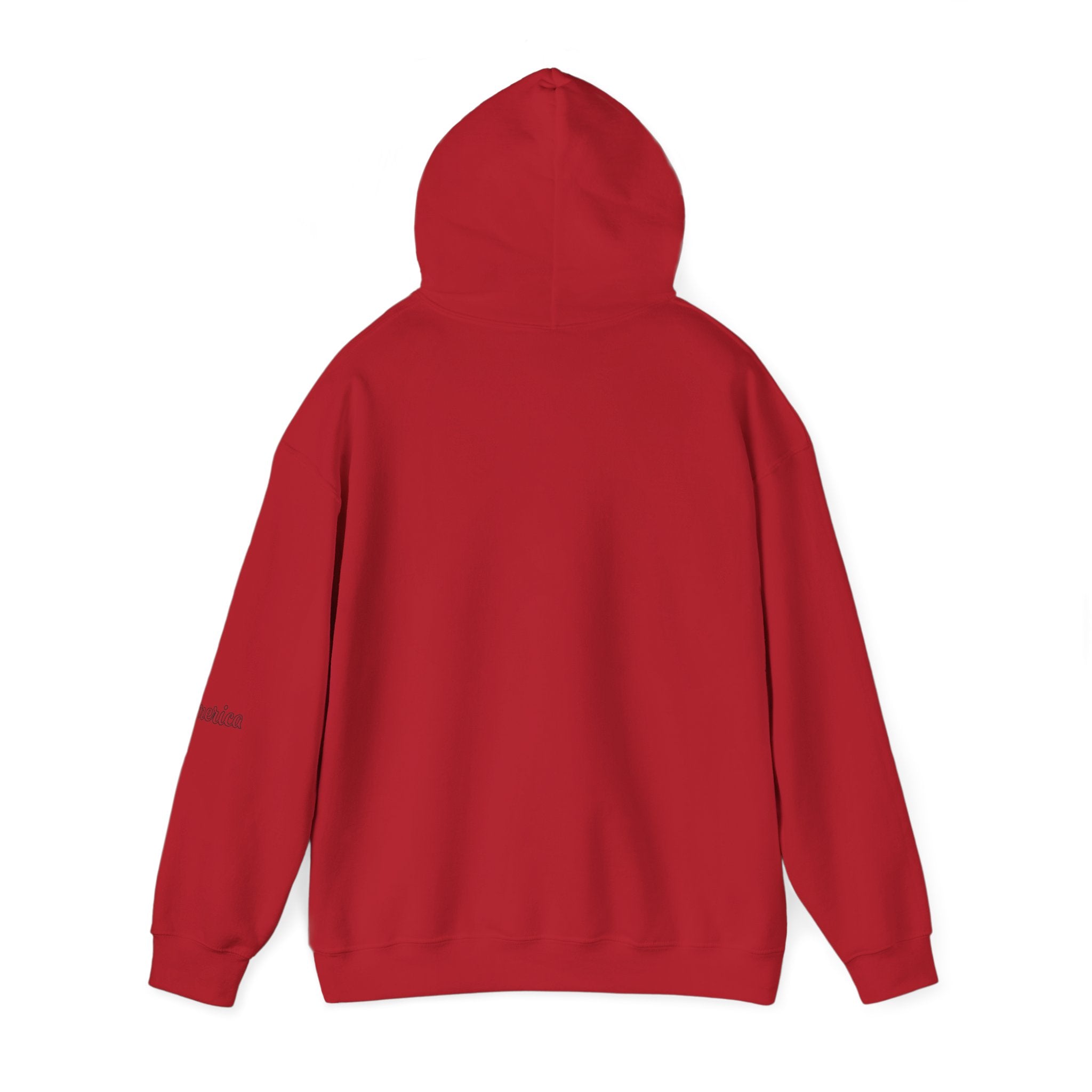 Tiger Graphic Hoodie — Urban Neon Grunge Pullover