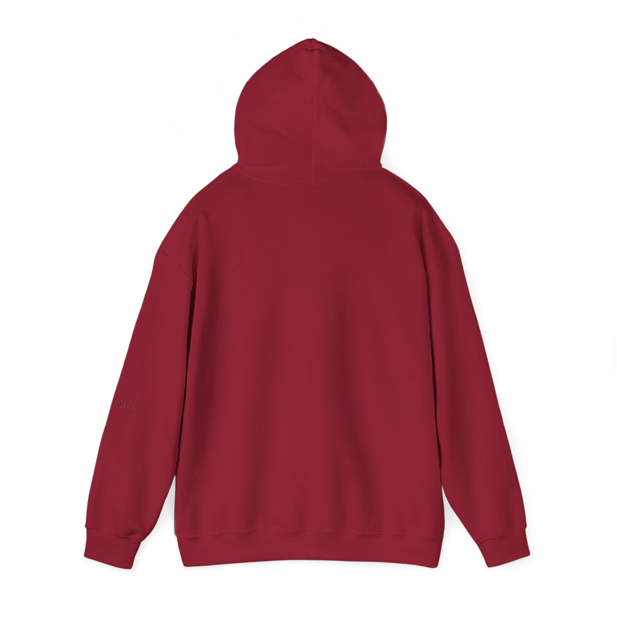 Tiger Graphic Hoodie — Urban Neon Grunge Pullover