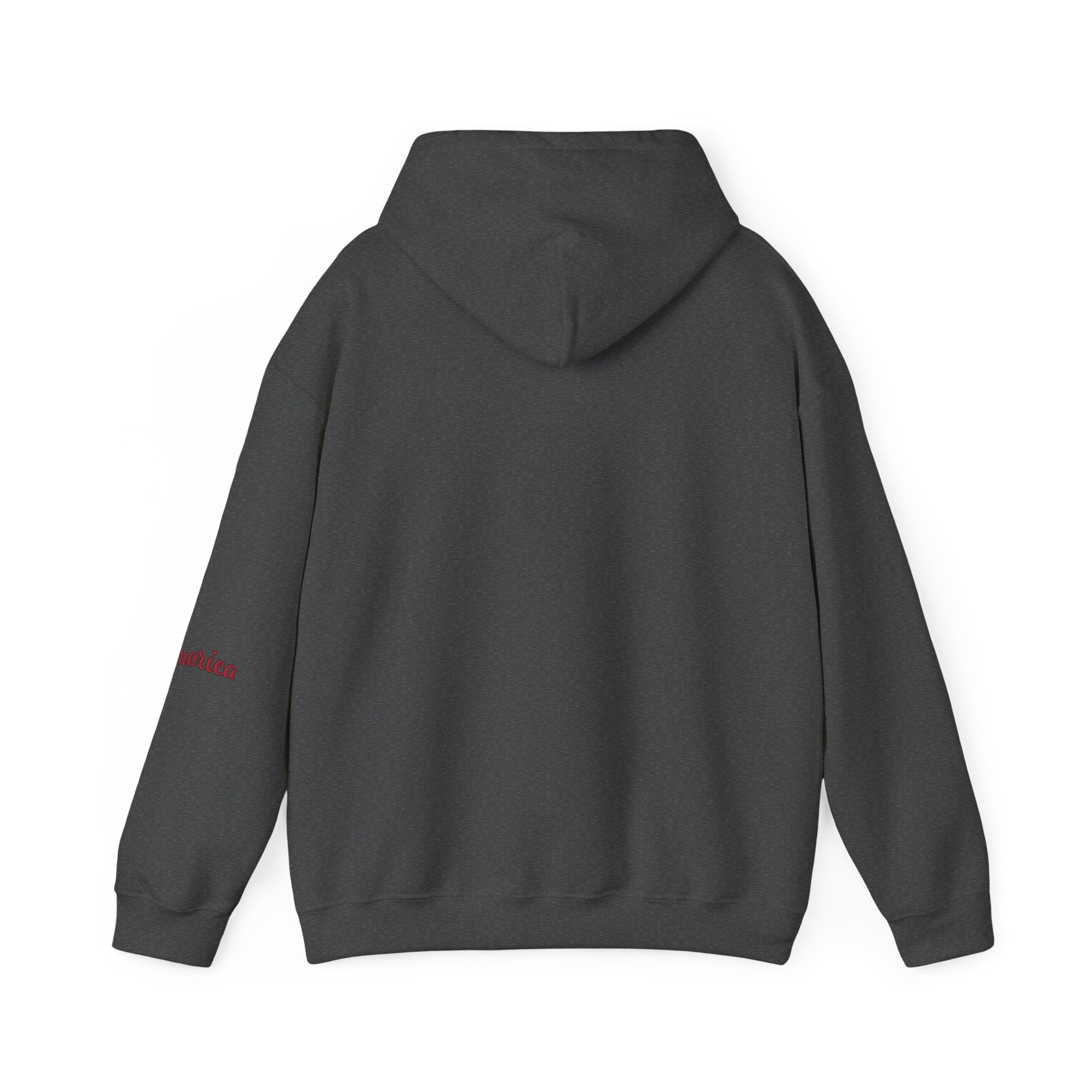 Tiger Graphic Hoodie — Urban Neon Grunge Pullover