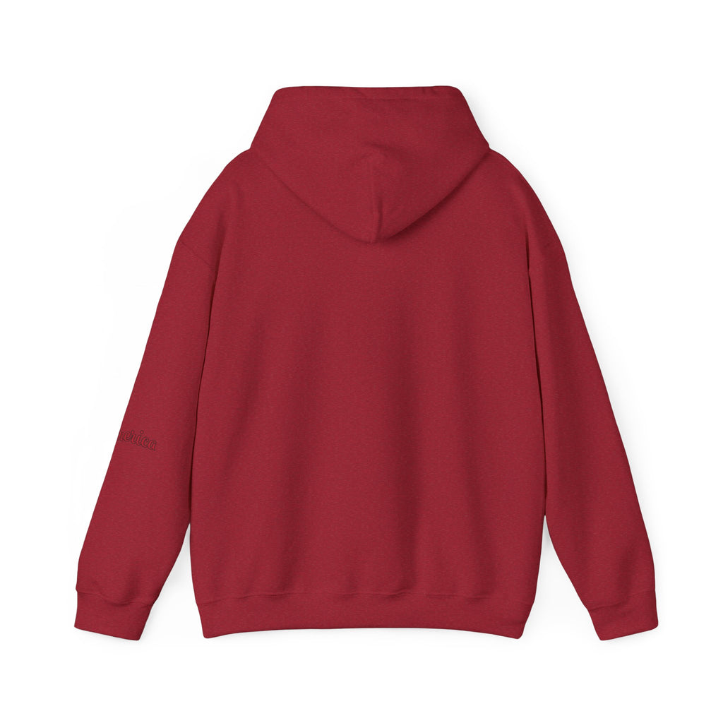 Tiger Graphic Hoodie — Urban Neon Grunge Pullover