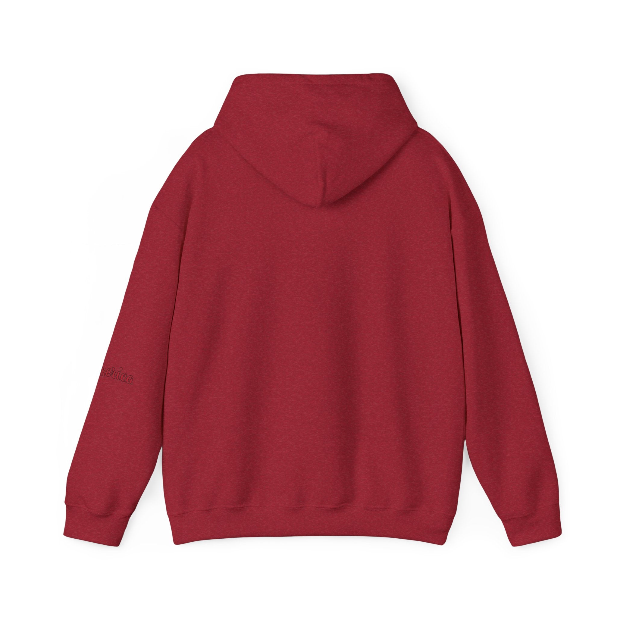 Tiger Graphic Hoodie — Urban Neon Grunge Pullover